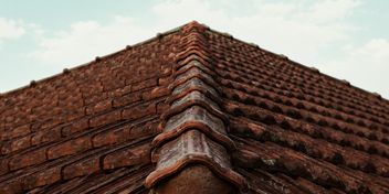 Bild: Caroline Badran – Unsplash | bearbeitet mit KI (ChatGPT), Bild: Caroline Badran – Unsplash | bearbeitet mit KI (ChatGPT)