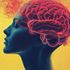 Bild: Agnes – Adobe Stock, Bild: Agnes – Adobe Stock