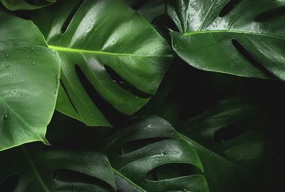 Bild: Bart Zimny - Unsplash