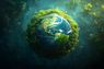 Sustainability & Programmatic – Trend oder Chance für echten Wandel?
