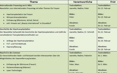Beispiel eines Redaktionplans