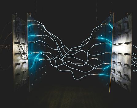 Bild: Israel Palacio - Unsplash