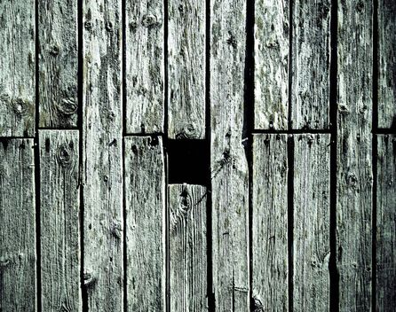 Bild: John Doyle – Unsplash