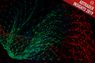 Deep Learning revolutioniert das Retargeting 
