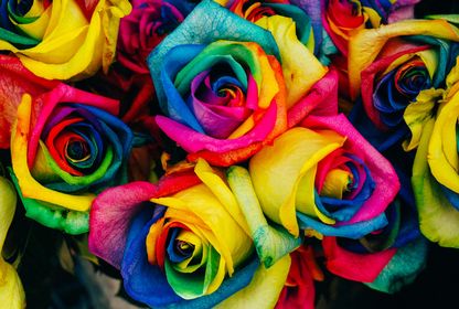 Bild: Denise Chan – Unsplash Bild: Denise Chan – Unsplash