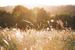 Bild: Niklas Hamann - Unsplash Bild: Niklas Hamann - Unsplash
