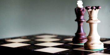 Bild: Shirly Niv Marton – Unsplash