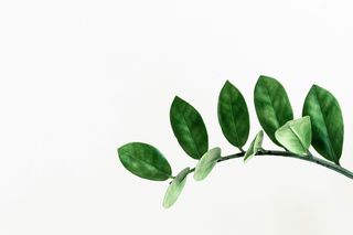 Bild: Pawel Czerwinski - Unsplash Bild: Pawel Czerwinski - Unsplash