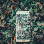Bild: Ravi Kumar – Unsplash