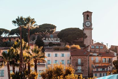 Bild: Jannis Lucas - Unsplash