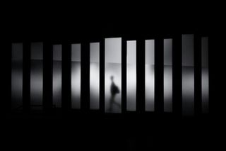 Bild: David Werbrouck – Unsplash
