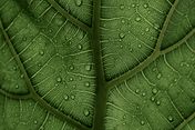 Bild: Clay Banks – Unsplash