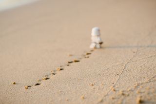 Bild: Daniel Cheung – Unsplash Bild: Daniel Cheung – Unsplash