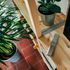 Bild: Jonas Leupe – Unsplash