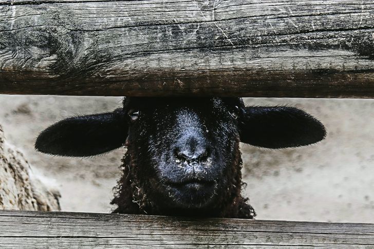 Bild: Jose Francisco Morales – Unsplash Bild: Jose Francisco Morales – Unsplash