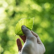 Bild: Tobias Weinhold - Unsplash