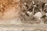 Open Web vs. Walled Gardens – Wo bleibt der kollektive Ruck?
