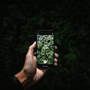Bild: Ryunosuke Kikuno – Unsplash, bearbeitet mit KI/ChatGPT, Bild: Ryunosuke Kikuno – Unsplash, bearbeitet mit KI/ChatGPT