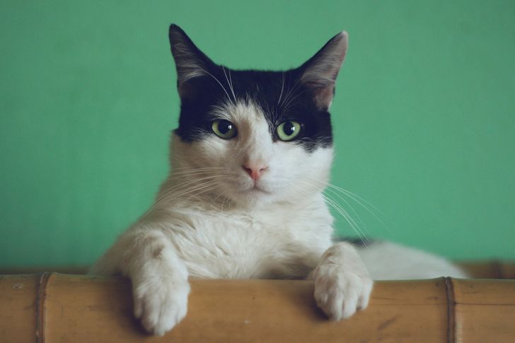 Bild: Manja Vitolic – Unsplash Bild: Manja Vitolic – Unsplash