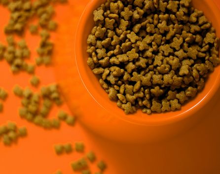 Bild: Daniel Dan - Unsplash