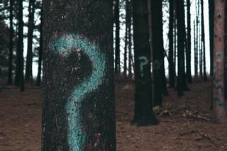 Bild: Evan Dennis - Unsplash, CC0