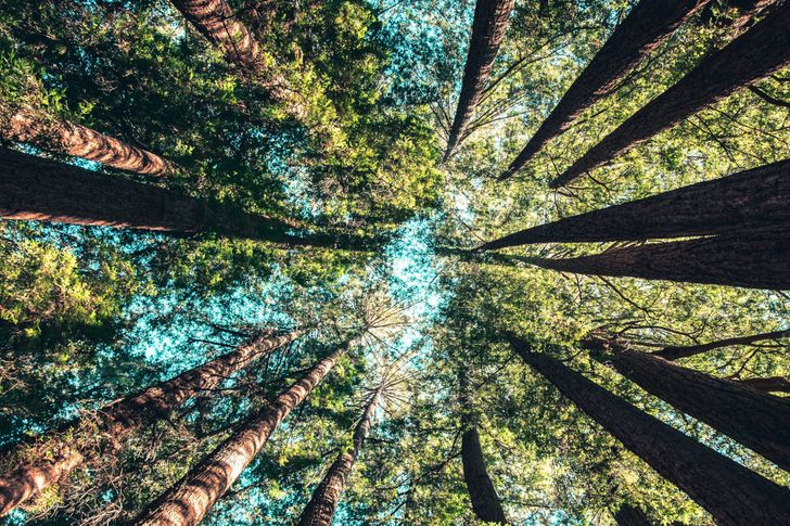 Bild: Casey Horner – Unsplash Bild: Casey Horner – Unsplash