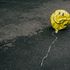 Bild: Nathan Dumlao - Unsplash
