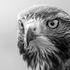 Bild: Jeremy Hynes – Unsplash