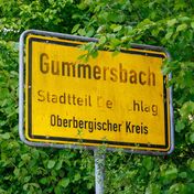 Bild: Stock Birken – Unsplash