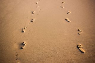 Bild: Felipe Correia – Unsplash Bild: Felipe Correia – Unsplash