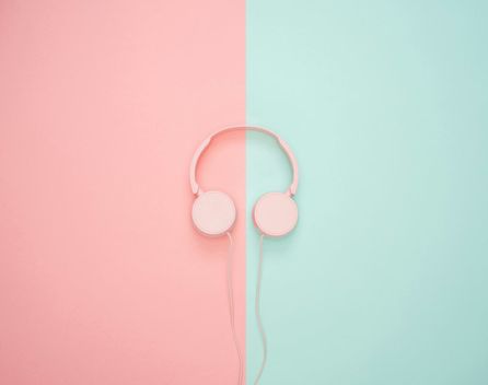 Bild: Icons8 Team – Unsplash