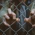 Bild: Mitchel Lensink – Unsplash