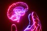 Interview mit Johannes Paysen, Seedtag
 - Neuronen statt auslaufender Signale?
